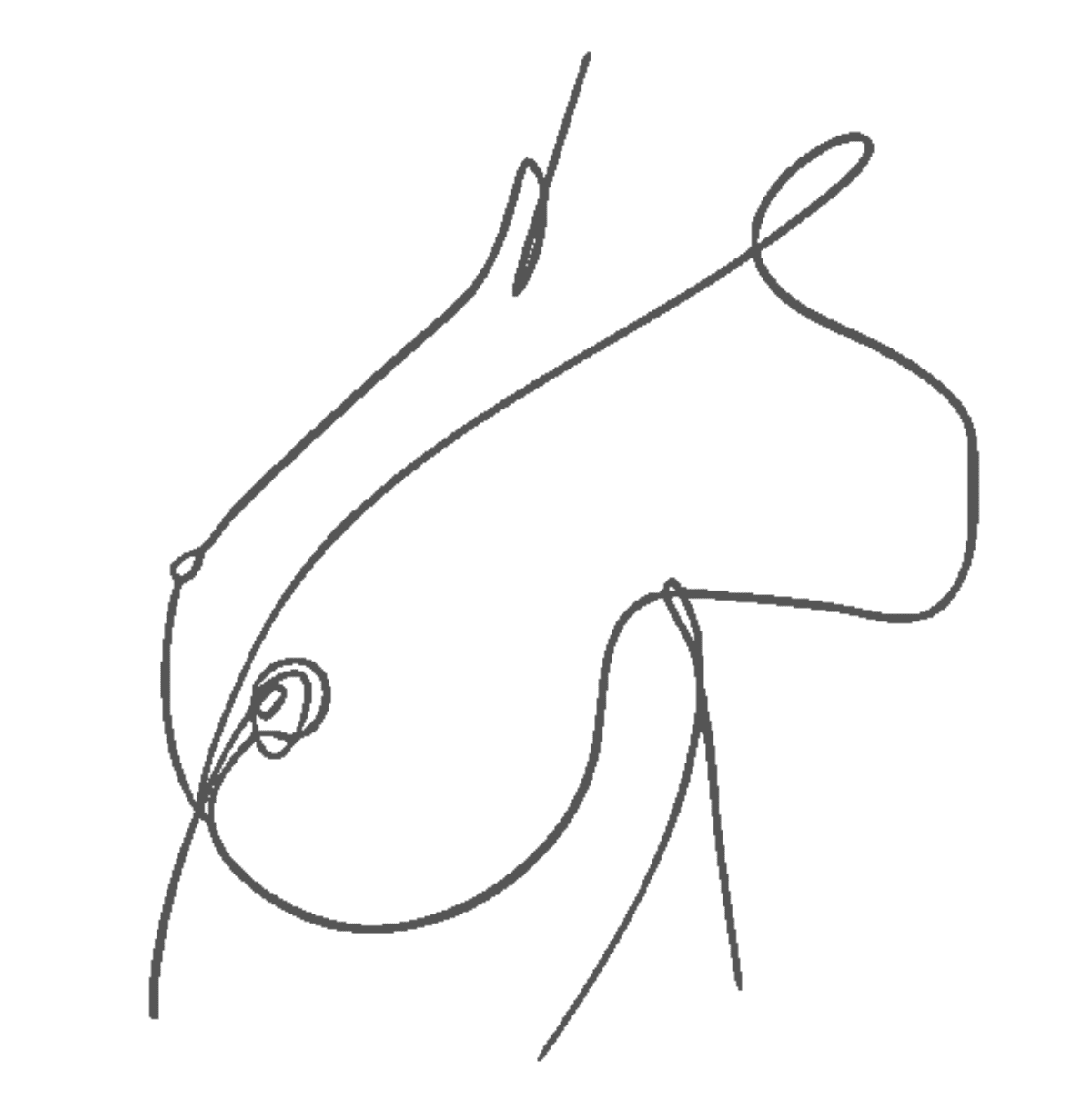 Icône représentant poitrine